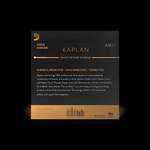 D'Addario Kaplan Amo Viola A String, Medium Scale, Medium Tension Product Image