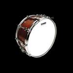 EVANS Orchestral Coated White Snare Drum Head, 14 Inch Product Image