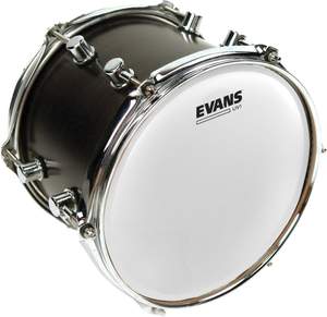 EVANS UV1 Coated Drum Head, 8 Inch