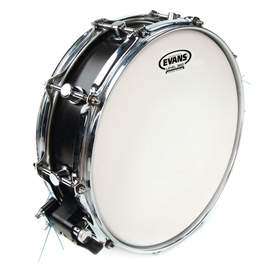 EVANS Power Center Reverse Dot Drum Head, 10 Inch