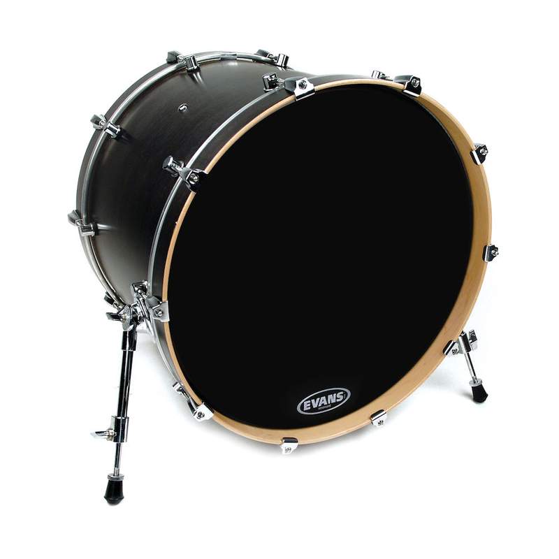 仕入れ EVANS dB One Bass Drum Head 18 [BD18DB1] | www.takalamtech.com