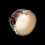 EVANS Strata Staccato 700 Concert Snare Drum Head, 14 Inch Product Image