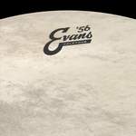 EVANS Calftone Tom Hoop Drum Head, 16 Inch Product Image
