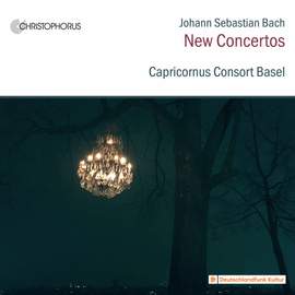 Johann Sebastian Bach: Organ Works On Strings