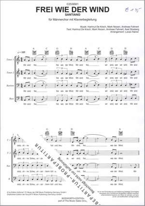 Santiano: Frei wie der Wind