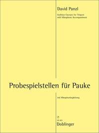 David Panzl: Probespielstellen Für Pauke