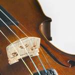 Stentor Violin Outfit Student II 4/4 Product Image