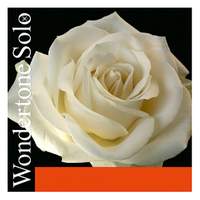 Pirastro Violin String Wondertone Solo Adv Steel E1 Loop Medium