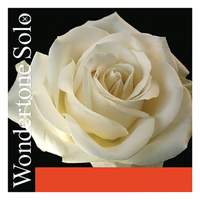 Pirastro Violin String Wondertone Solo E 1 Steel Ball