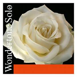 Pirastro Violin String Wondertone D 3 Silver