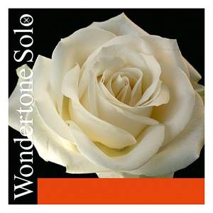 Pirastro Violin String Wondertone D 3 Silver
