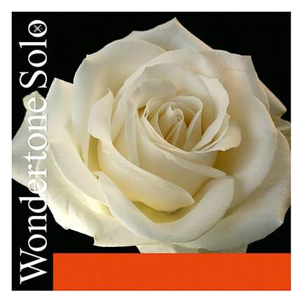 Pirastro Violin String Wondertone D 3 Silver