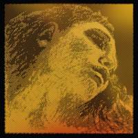 Pirastro Violin String Evah Pirazzi Gold E Loop Stainless Steel