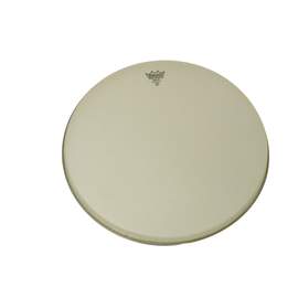 Remo Banjo Head 11in Low Crown Renaissance
