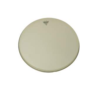 Remo Banjo Head 11in Low Crown Renaissance