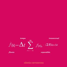 Tempo Transversal - Flauta Expandida