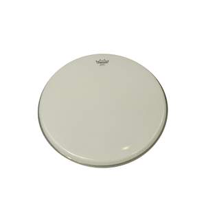 Remo Banjo Head 11in Low Crown, Smooth White