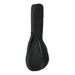 Mandolin Cover Round Back Padded Product Image