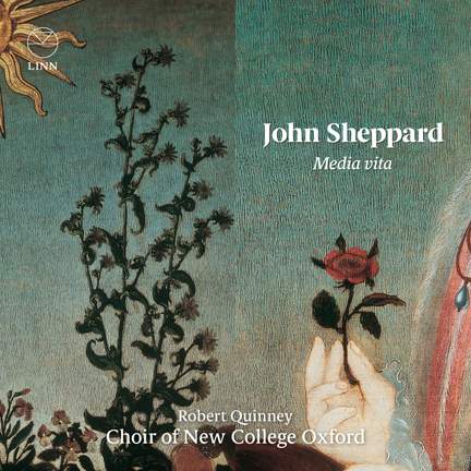 Sheppard: Media vita