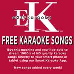 Easy Karaoke Bluetooth® Karaoke Machine Product Image