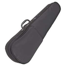 Antoni debut violin case- 34