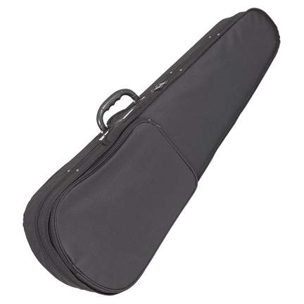 Antoni debut violin case- 34