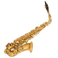 Odyssey 'Debut' Alto Saxophone Outfit