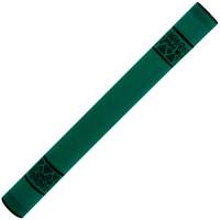 Trophy Tropical Rainstick ~ Rainforest Green