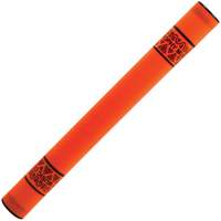 Trophy Tropical Rainstick ~ Mango Tango
