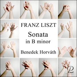 Piano Sonata in B minor, S. 178