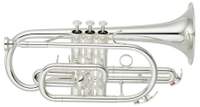 Yamaha Cornet YCR-4330GSII