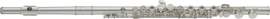 Yamaha Flute YFL-212SL