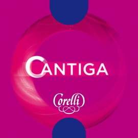 Cantiga Viola D Medium