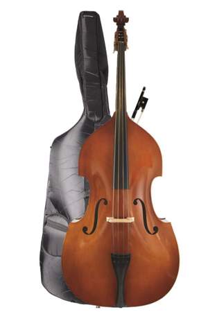 Presto ultralight upright double bass E and A strings