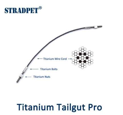 Stradpet Violin Tailgut Pro Titanium/titanium