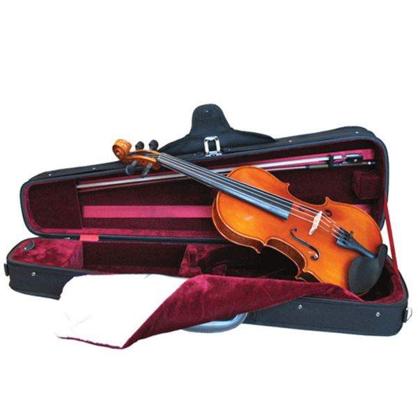 Stentor Student Standard Violin Outfit