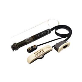 Lr Baggs Anthemsl Ele/mic Pu