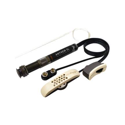 Lr Baggs Anthemsl Ele/mic Pu
