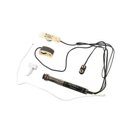 Lr Baggs Anthem Sl Classical