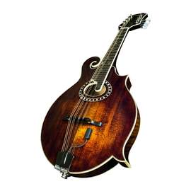 Lr Baggs Radius Mandolin Pick Up
