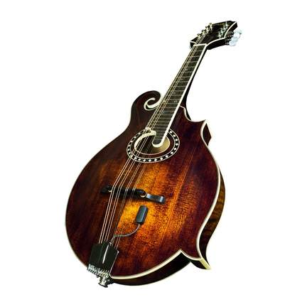 Lr Baggs Radius Mandolin Pick Up