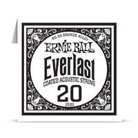 Ernie Ball Everlast 80/20 Bronze Wound Single020