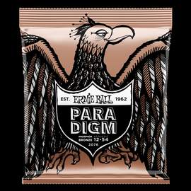 Ernie Ball: Paradigm Phosphor Bronze