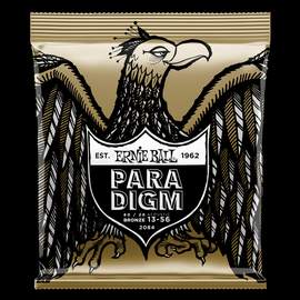 Ernie Ball: Paradigm 80/20 Bronze