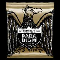 Ernie Ball: Paradigm 80/20 Bronze