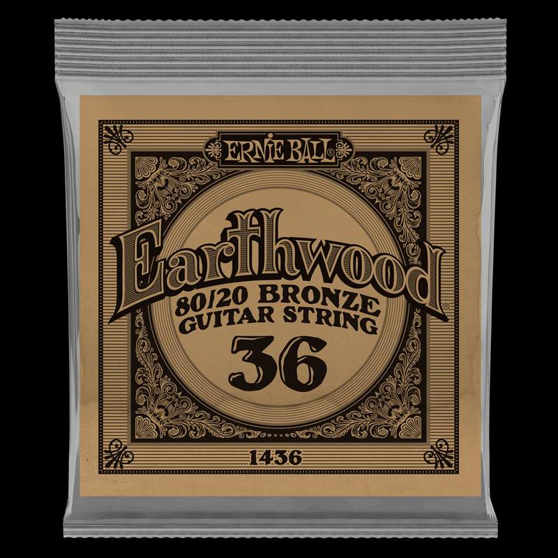 Ernie Ball Earthwood 80 20 Bronze Acoustic Wound .042 String