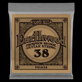 Ernie Ball Earthwood Phosphor Bronze Acoustic Wound .022 String