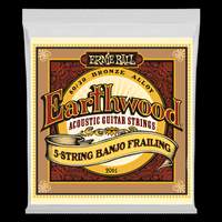 Ernie Ball Earthwood 80/20 Bronze