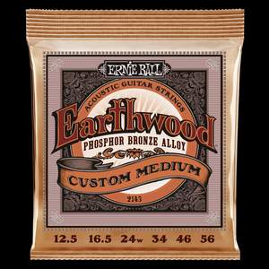 Ernie Ball Earthwood Phosphor Bronze