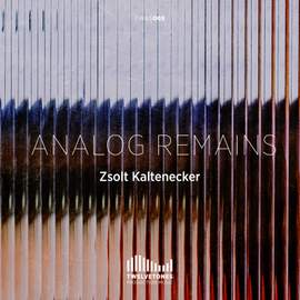 Analog Remains